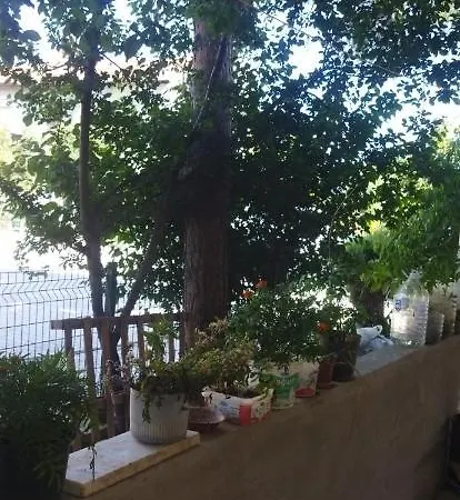 Arzu * Şarköy