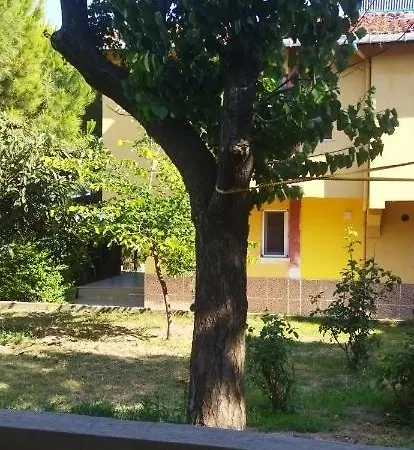 Arzu Şarköy